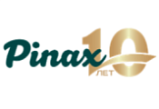 10 лет "Pinax"!